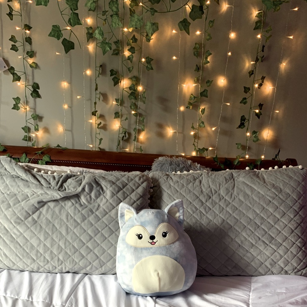 Limited Edition Squishmallow